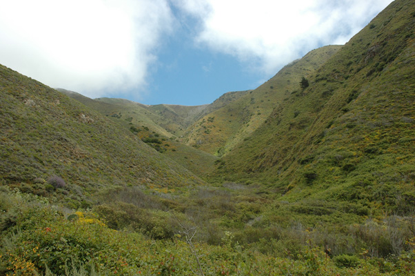 Soberanes Canyon 022.jpg
